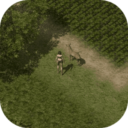 新加坡金沙1991手游下载安装最新版-新加坡金沙1991官方版下载 v1.5.0 安卓版